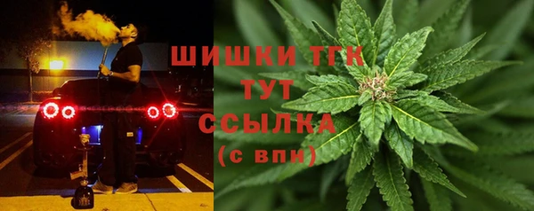 соль ск Зеленодольск