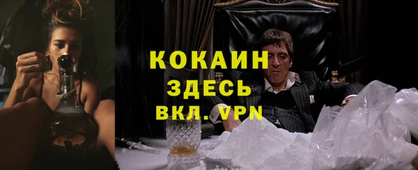 дживик Зеленокумск