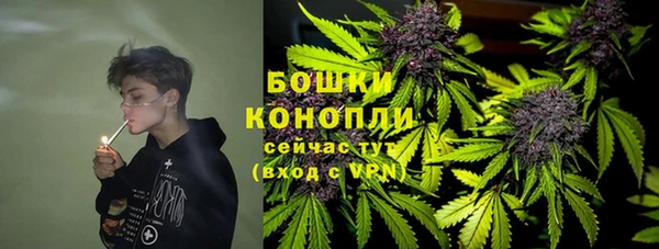 дживик Зеленокумск