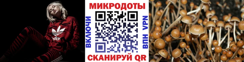 Купить закладки Малоархангельск Псилоцибиновые грибы прущие грибы